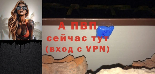 амф Вязьма