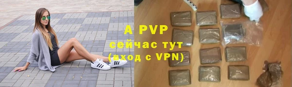 амф Вязьма