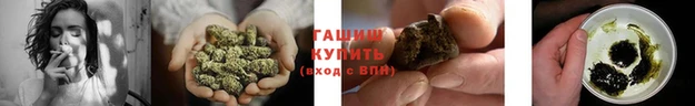 спайс Дмитриев