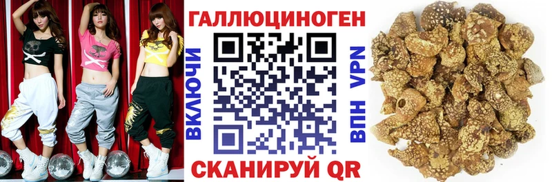магазин    Гремячинск  Галлюциногенные грибы GOLDEN TEACHER 